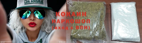 твердый Протвино