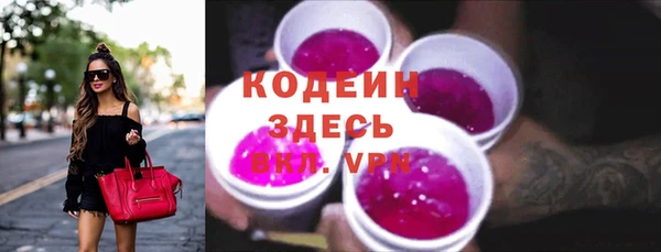 твердый Протвино
