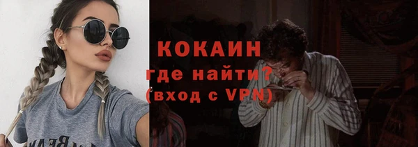 твердый Протвино
