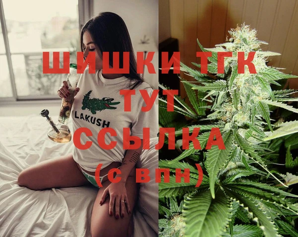 твердый Протвино