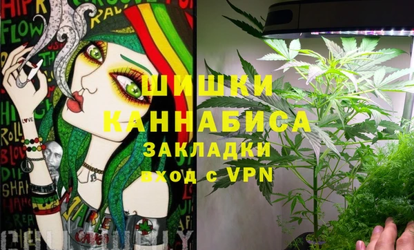 твердый Протвино