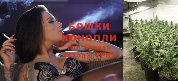 твердый Протвино