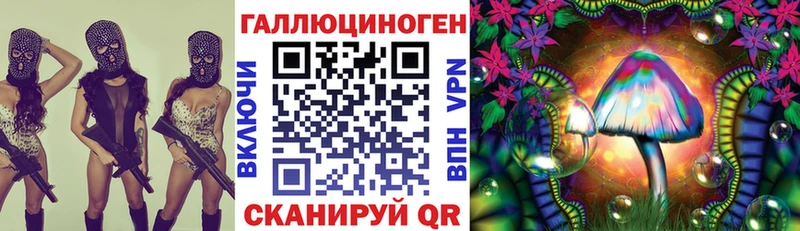 Псилоцибиновые грибы MAGIC MUSHROOMS  кракен ТОР  Химки 