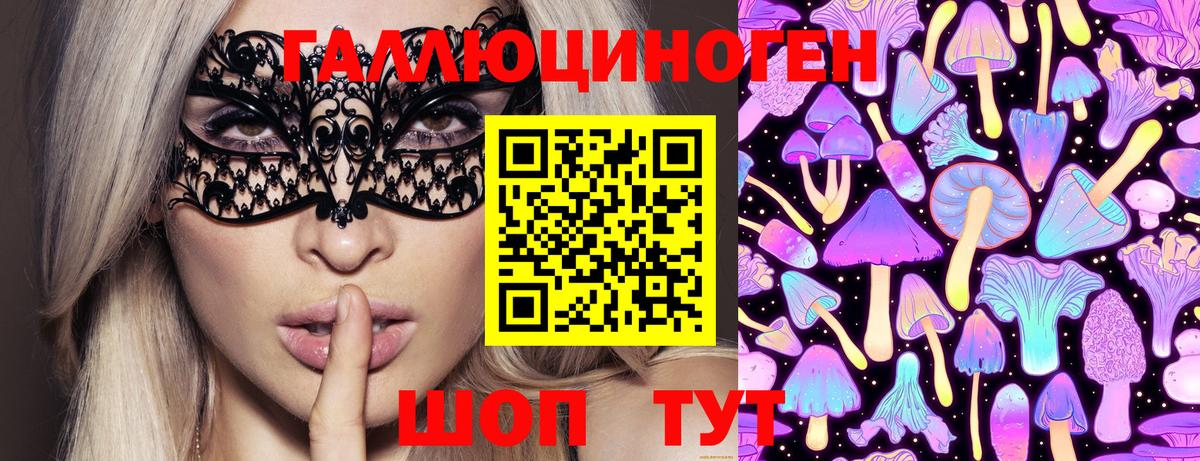 Химки  что такое наркотик  Вход с VPN  Галлюциногенные грибы Psilocybe 