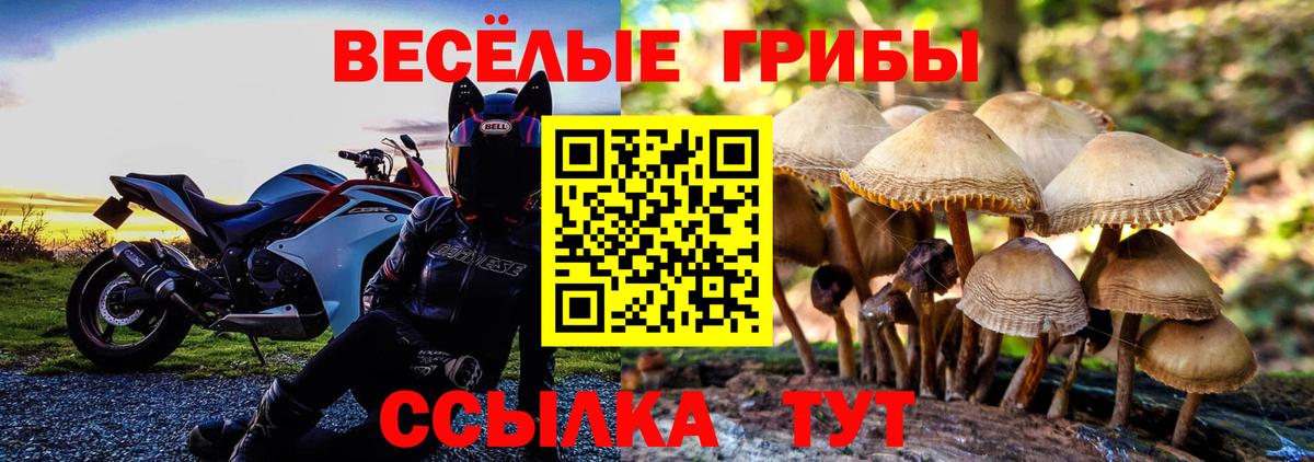 Псилоцибиновые грибы MAGIC MUSHROOMS Химки